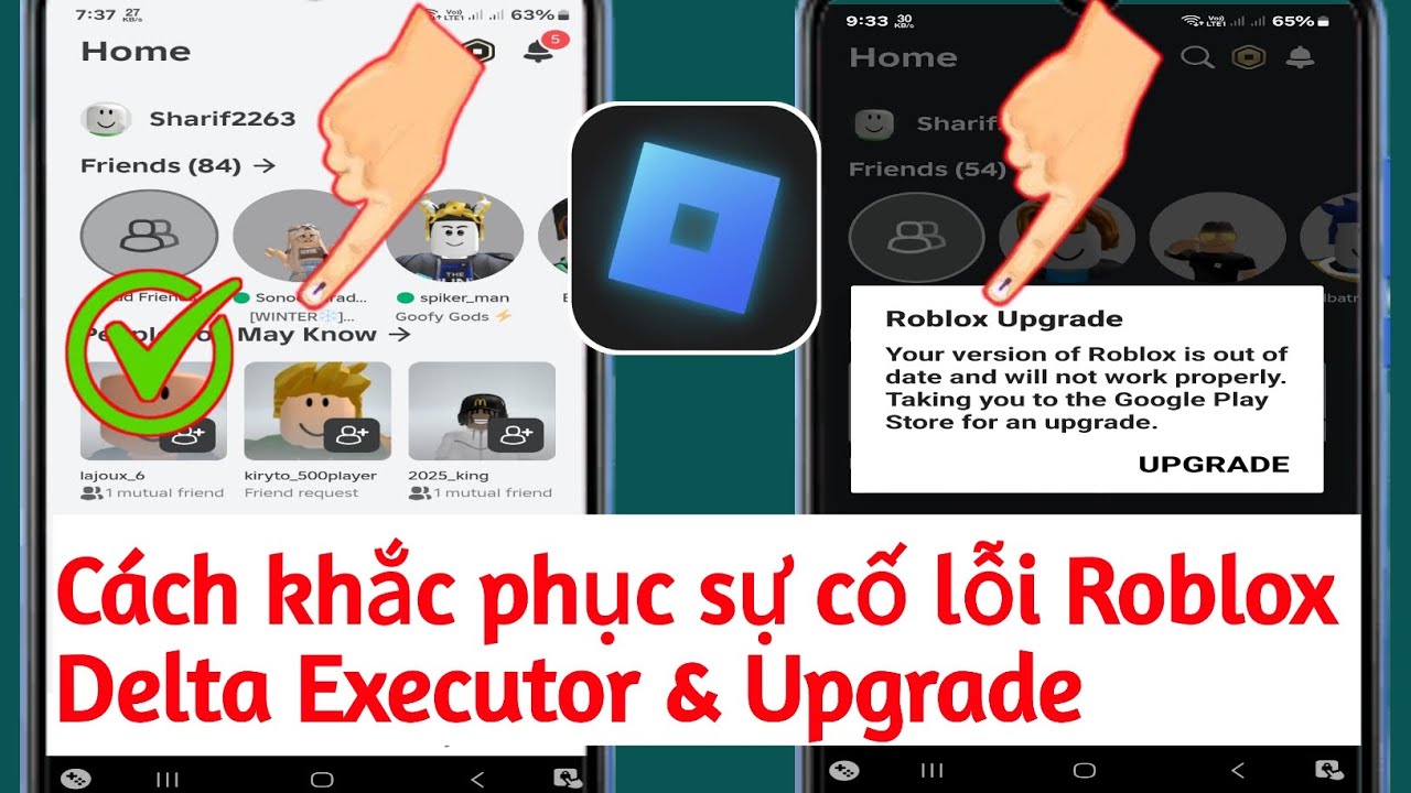 cách cập nhật delta executor