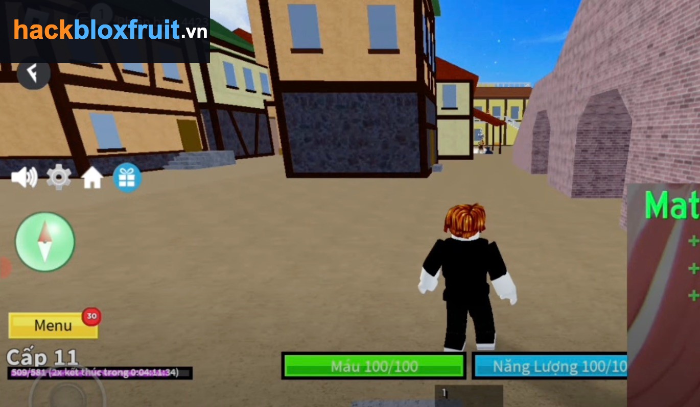 Dán Script Blox Fruit vào Fluxus và nhấn Run