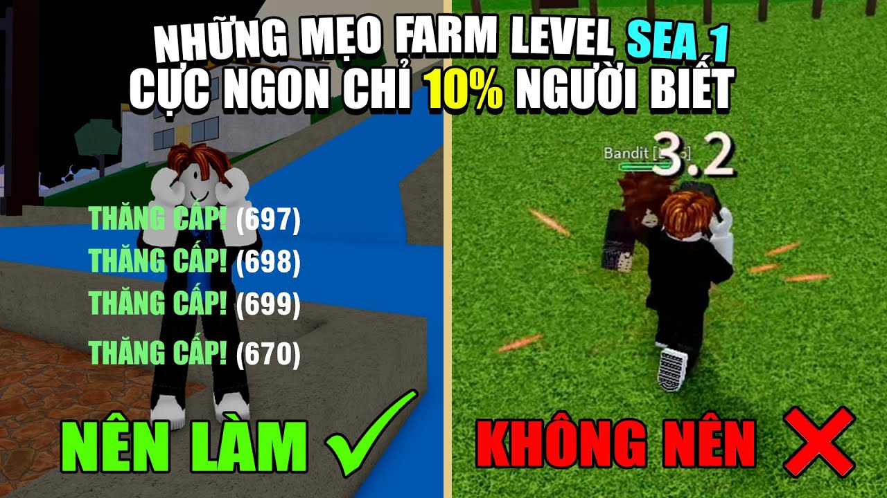 farm level sea 1